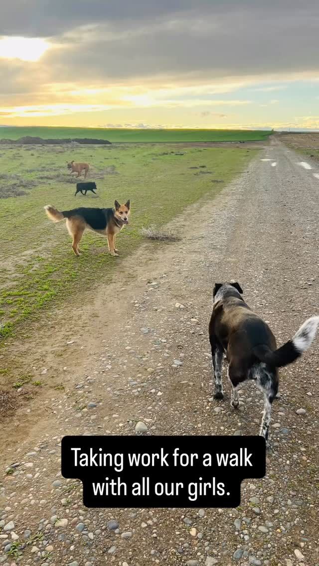 When you have more to do and only so much time.
#multitasking #bscleathergoods #handmadewithlove #makersgonnamake #jesuslovesyou